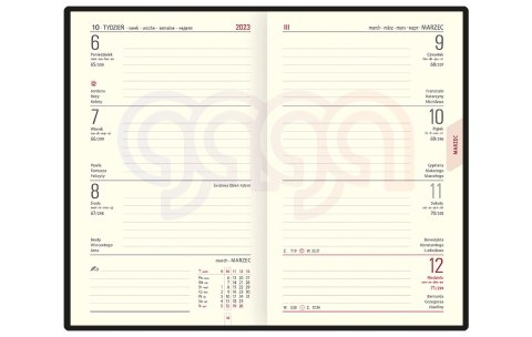 Kalendarz A-6 Notesowy CLASSIC książkowy (C4), 23 - złoty linea 2025 TELEGRAPH